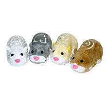 Zhu Zhu Pets Hamster 2-pack - Colorsstyles Vary Zhu Zhu Pets Hamster 2-pack - Colorsstyles Vary