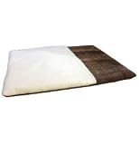 Amazon Image