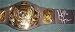 Hulk Hogan autographed WWE Championship Belt Replica Plastic Model (ships in roughly ...