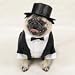 Casual Canine Dog Tuxedo - Dog Costume - Medium