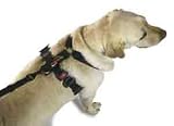 Pet Buckle Travel Harness-X-Large