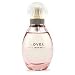 ��֥꡼�����顦�����������ѡ����� �����ɥѥ�ե��ॹ�ץ졼 50ml