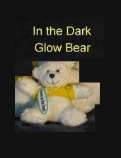21HohmIAifL IN THE DARK Glow Bear Small Teddy   Kin   tiny with key chain as seen on The View