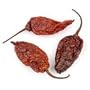 Dried Whole Ghost Chile (Bhut Jolokia) 4 oz.