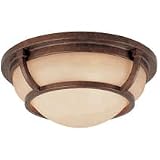 Ceiling Fixtures Dolan Designs 1505