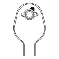 large image