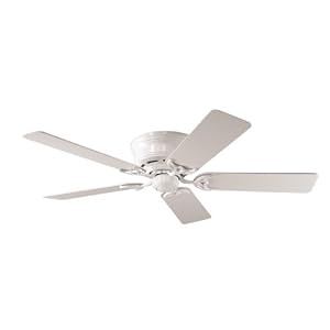 Hunter 20803 Low Profile III 52-Inch 5-Blades Ceiling Fan, White by 