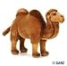 Wild Bactrian Camel