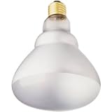 WP 120W BR40 Spot Bulb