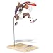 Search : NBA Series 15: Shaquille O'Neal Phoenix Suns