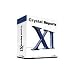 Crystal Reports XI Professional Edition (Professional Solution Suite Full Product, w/Crystal Single Case TS, Training CBT) (PC)