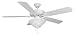 Ellington Ceiling Fans Builder Deluxe Model BLD52MWW5LK1A in White. Indoor fan.