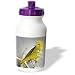 Kike Calvo Galapagos - Yellow warbler,Dendroica petechia, - Water Bottles