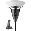 Speaker Floor Lamp