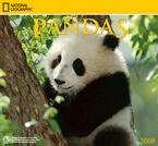 Pandas National Geographic 2008 Wall Calendar