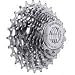 SRAM Rival OG 1070 10-Speed OpenGlide Road Bicycle Cassette