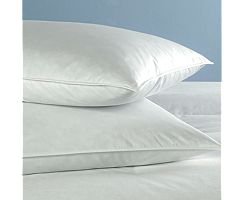 Standard Bed Pillows