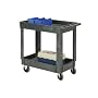 Plastic 2 Shelf Tray Service & Utility Cart 34 X 17.5 - 5 Inch Rubber Casters