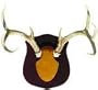 Do-All Outdoors True-Classic Antler Mount Kit
