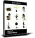 DOSCH 3D: Indoor Plants