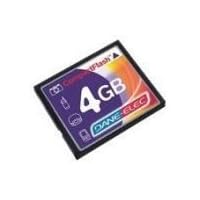 Dane Elec 4 GB Compact Flash Card