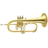 Amati AFH 601I-O Bb Flugelhorn (AFH 601I-O Lacquer)