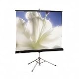 Diplomat Portable Tripod Screen 96INX96IN Matt White Black Case