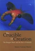 The Crucible of Creation: The Burgess Shale and the Rise of Animals