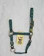 Hamilton Deluxe 1" Nylon Horse Halter with Adjustable Chin and Snap, Dark Green, Small (500-800 lbs)
