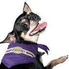 Los Angeles Lakers SM pet dog sports scarf bandana 14" necks