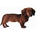 Dachshund Puppy Dog Die-Cut Photographic Magnet