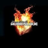 Bluegrass Tribute to Audioslave