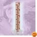 GLASS RAIN GAUGE 5
