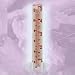 5IN RAIN GAUGE GLASS