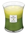 Woodwick Candle Apple Festival Trilogy Medium Jar