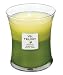 Woodwick Candle Apple Festival Trilogy Medium Jar