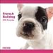 French Bulldog 2009 Wall Calendar