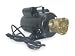 Dayton 3ACC1 Pump, Bronze, 3/4 HP, 115/230V, 10.8/5.4Amps