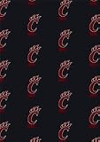 Cincinnati Bearcats 3 10 x 5 4 Team Repeat Area Rug