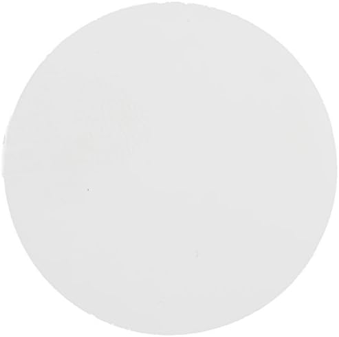 GVS Life Sciences 1215148 Polycarbonate Track Etched Hydrophobic Membrane Disks, 5.0 micron Pore Size, 47mm Diameter (Pack of 100)