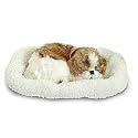 Perfect Petzzz Shih Tzu