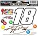 Wincraft NASCAR Kyle Busch 19350012 Multi-Use Colored Decal, 5