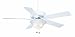 Casablanca 84G11D Four Seasons III Gallery Ceiling Fan, Snow White