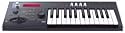 Korg Micro X Synthesizer (black)