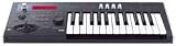 Korg Micro X Synthesizer (black)
