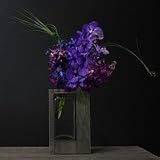 Orchid - David Beahm New York