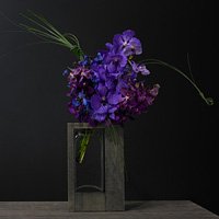 Orchid - David Beahm New York by 
