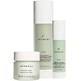 Sundari Neem Healing Treatment kit