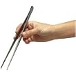 Zoo Med Stainless Steel Feeding Tongs, 10-Inch