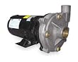 Dayton 2ZXL2 Centrifugal Pump, 1 1/2 HP, 3Ph, 230/460V